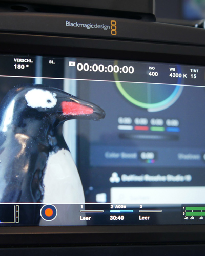 Ein Farbfoto. Eine Kamera filmt einen Pinguin aus Ton.